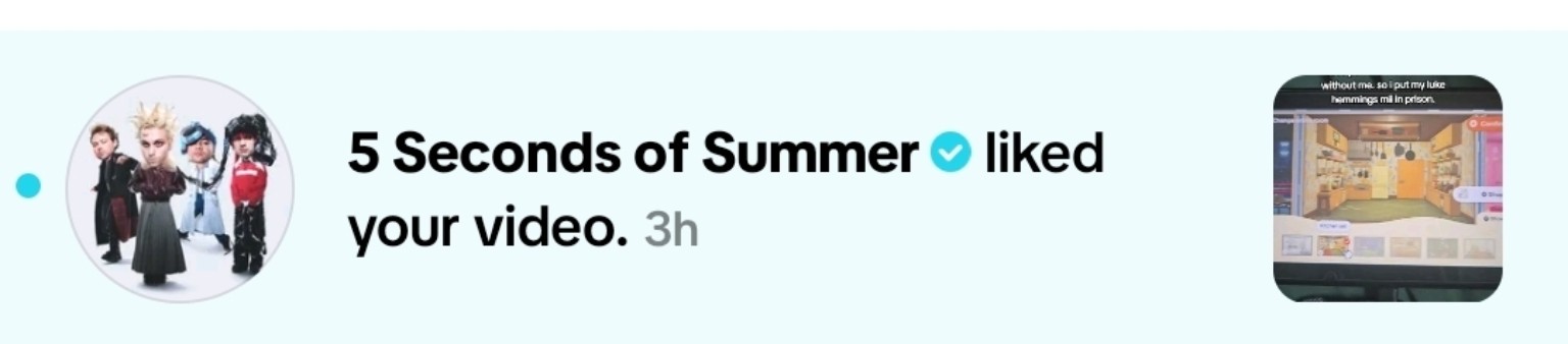 5SOS liked my video
